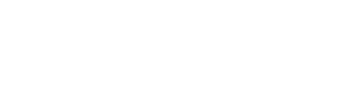 patagonia logo